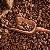 Cafeína